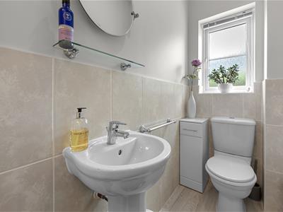 Picture 20